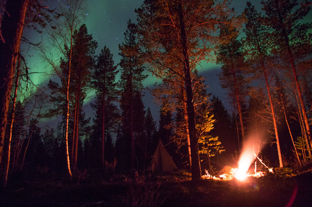 Trip to Your Own Land -package