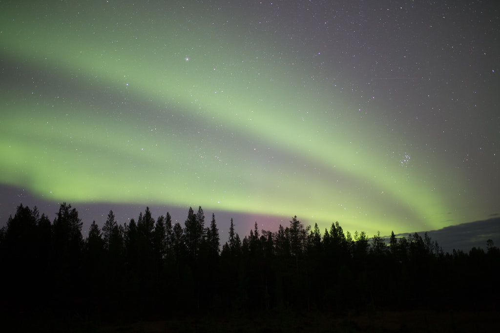 Land and Trip to Your Own Land -package