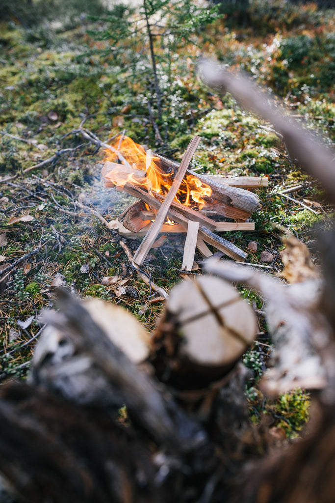 Land and Trip to Your Own Land -package