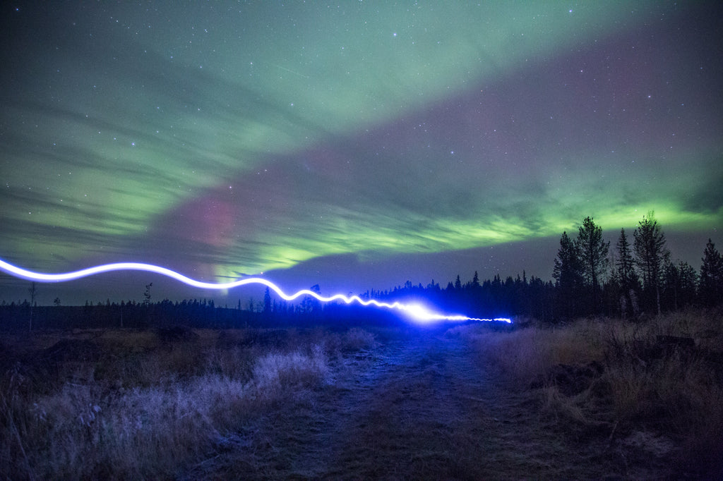 Trip to Your Own Land -package