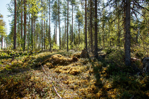 Land #1108
