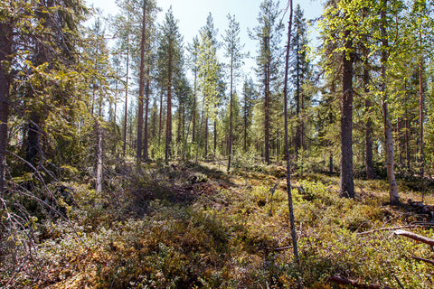 Land #1108