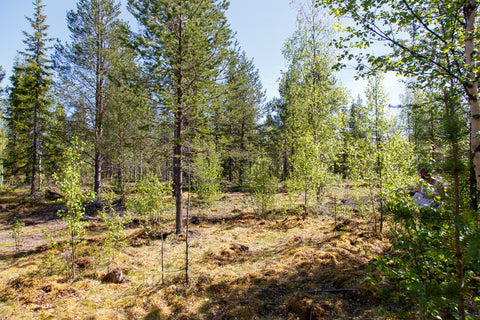 Land #1108