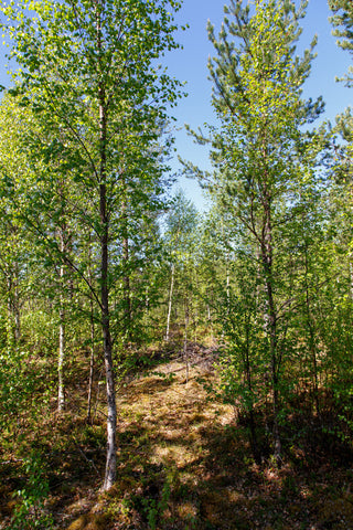 Land #1108