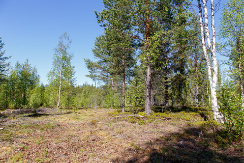 Land #1108