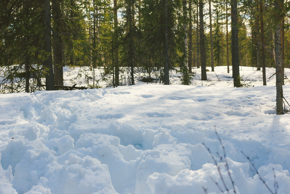 Land and Trip to Your Own Land -package