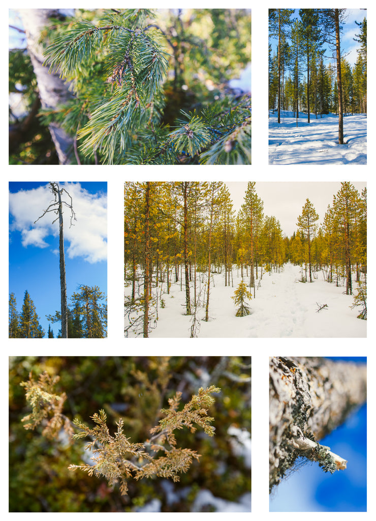 Land and Photo Canvas Gift Voucher