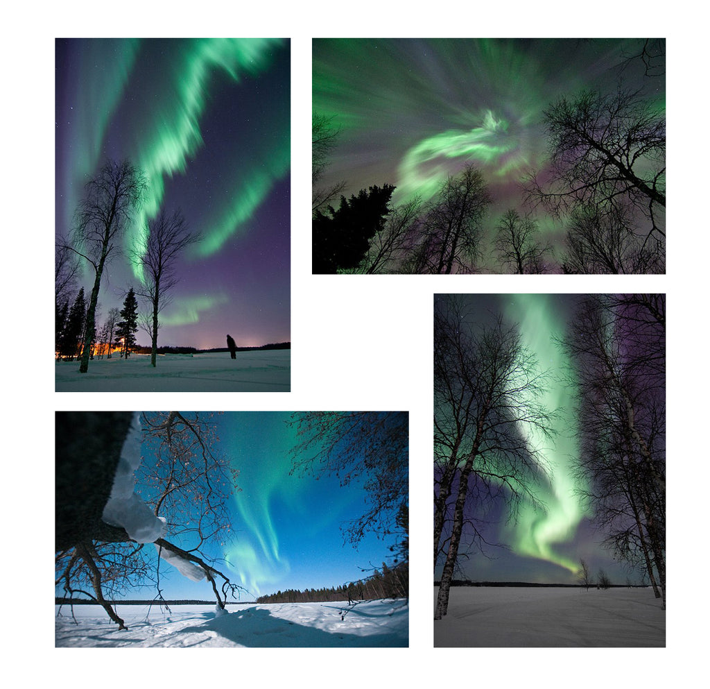 Land and Photo Canvas Gift Voucher