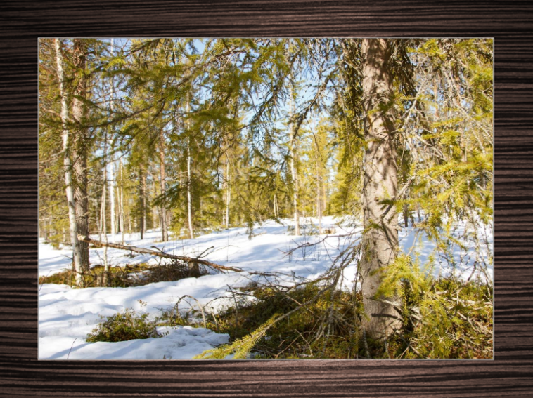 Photo Canvas 30cm x 40cm