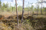 Land #1057
