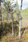 Land #1057