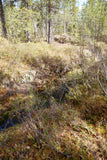 Land #1059