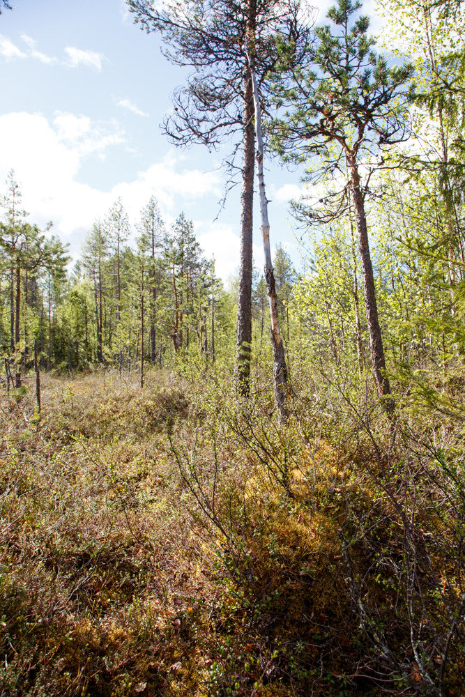 Land #1059
