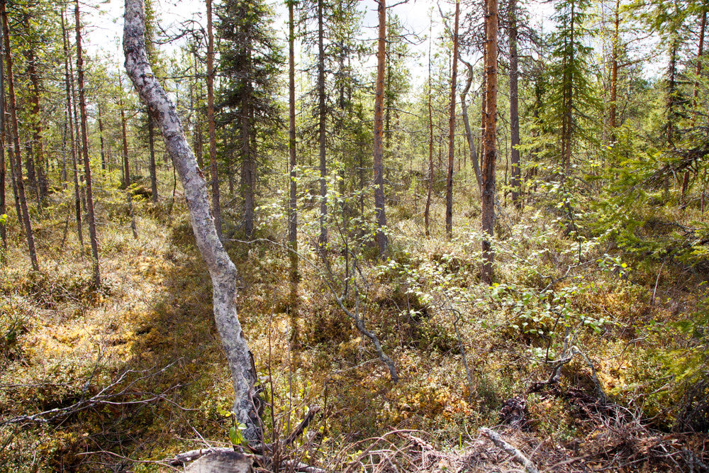 Land #1061