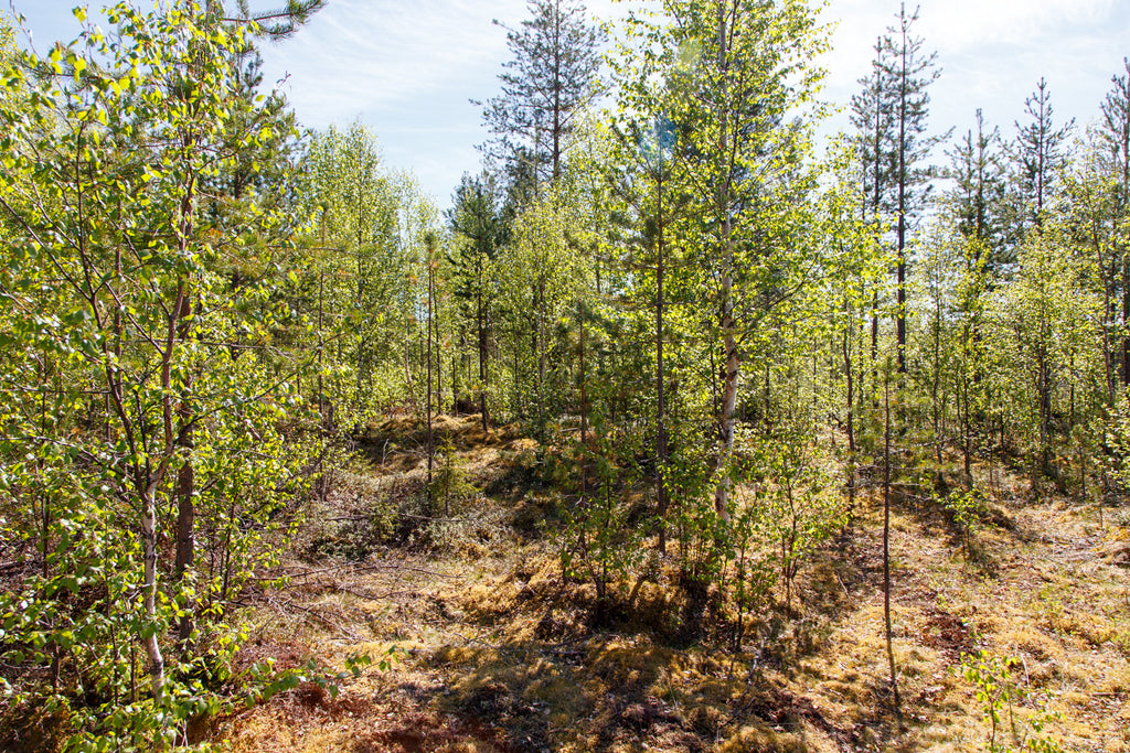 Land #0479