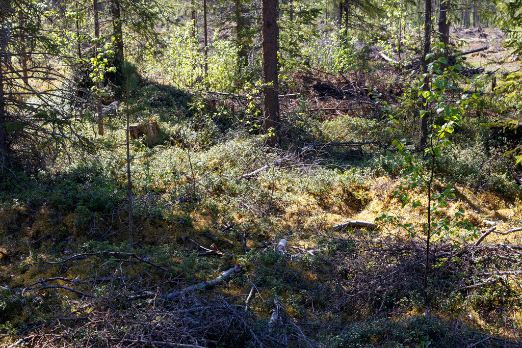 Land #0577