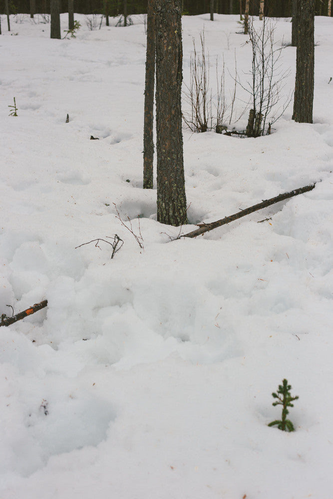 Land #0663
