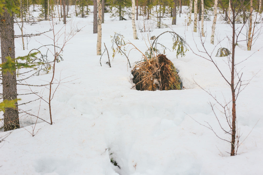 Land #0664