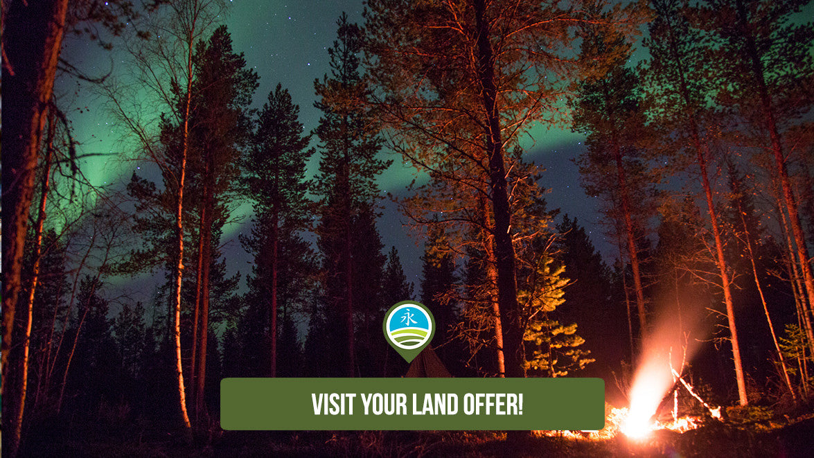 Choose your favorite piece of land from Lapland Forest